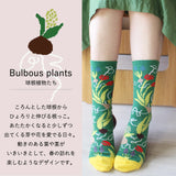 日本製混紡棉織花中筒襪 （球莖植物）