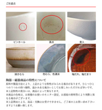 日本美濃燒雪の花陶瓷咖喱碟