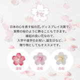 日本櫻花/牽牛花立體風車磁石（三件裝）