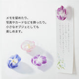 日本櫻花/牽牛花立體風車磁石（三件裝）