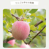 日本製津輕蘋果花器