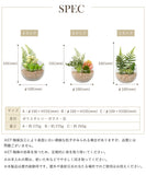 CT觸媒消臭抗菌人造盆栽