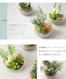 CT觸媒消臭抗菌人造盆栽